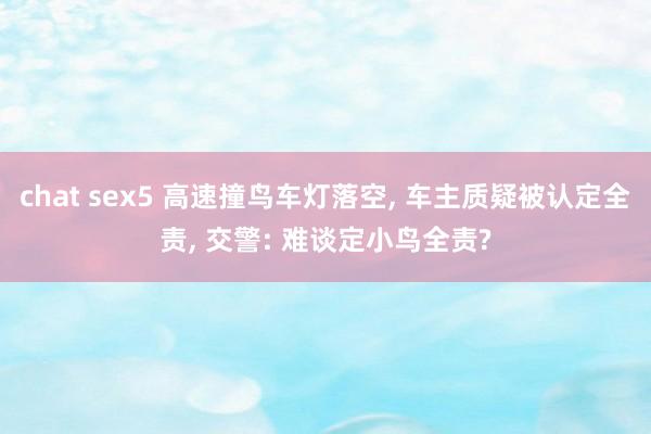 chat sex5 高速撞鸟车灯落空, 车主质疑被认定全责,