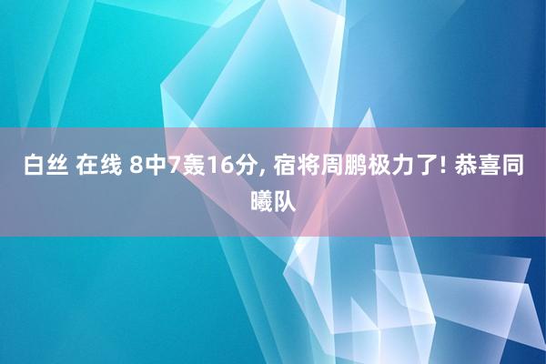 白丝 在线 8中7轰16分, 宿将周鹏极力了! 恭喜同曦队