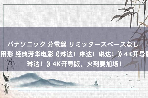 パナソニック 分電盤 リミッタースペースなし 露出・半埋込両