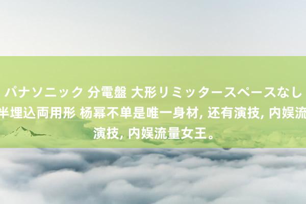 パナソニック 分電盤 大形リミッタースペースなし 露出・半埋